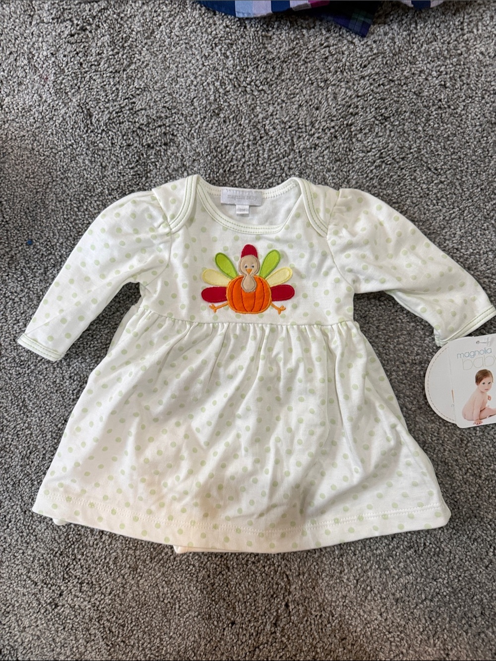 Baby Girls Polka Dot Long-Sleeve Dress with Turkey Applique NWT